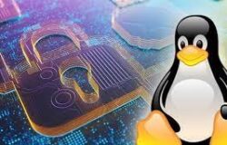 What are Linux file permissions and how to do it